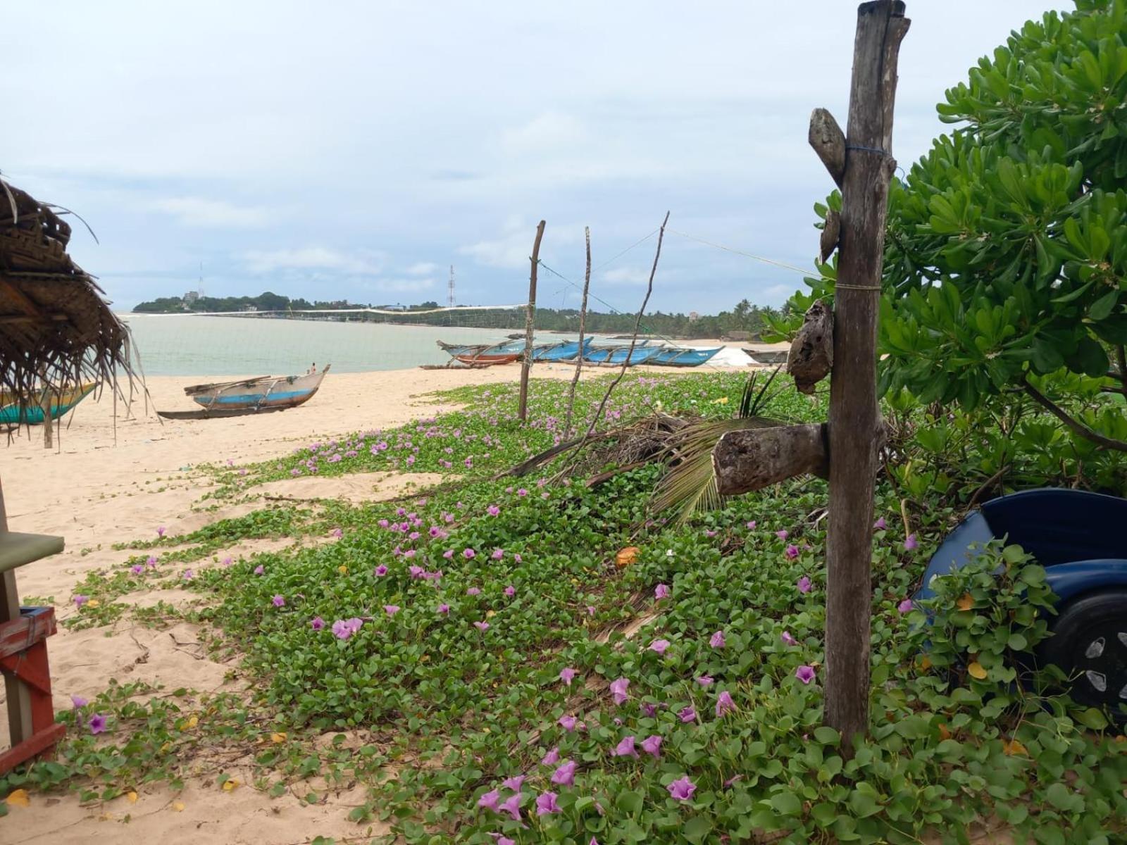 Blue Horizon Beach Hotel Tangalle Exterior foto